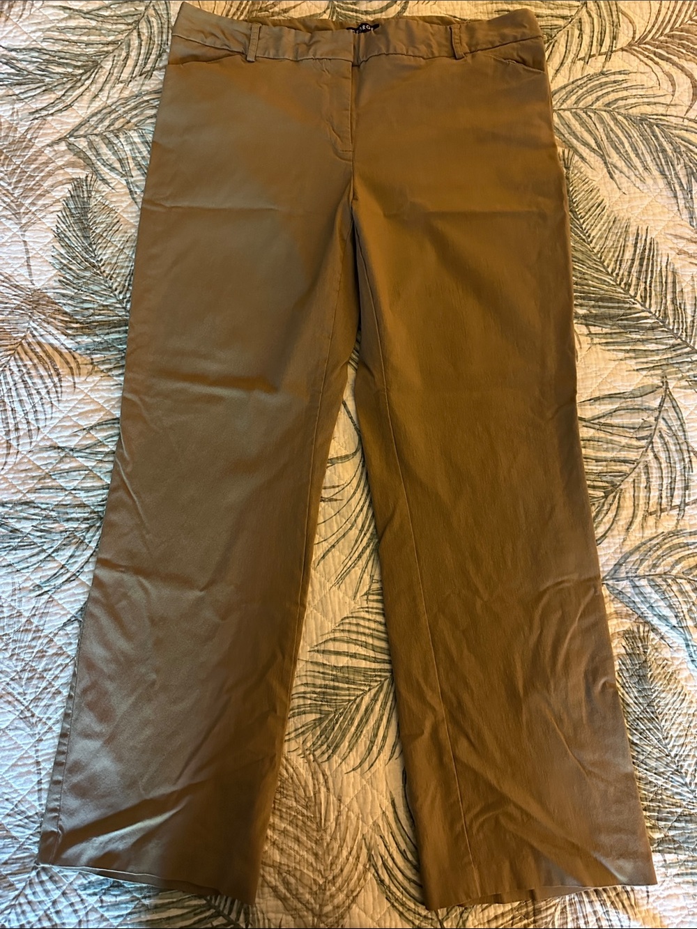 Classic George Flare-Leg Dress Pants in Brown